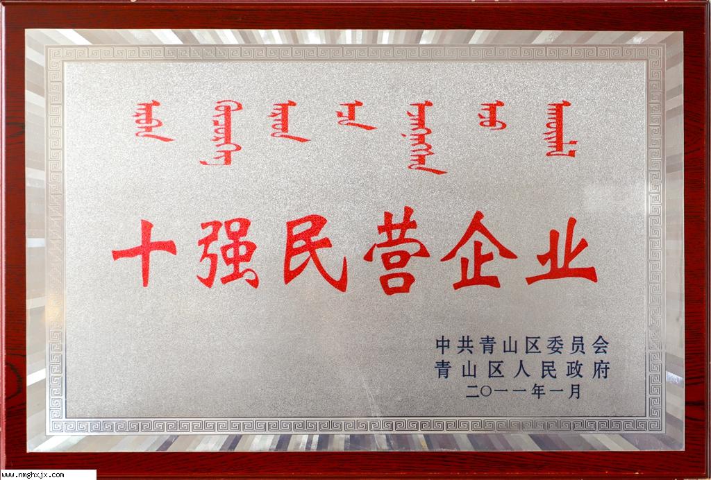 十强民营企业