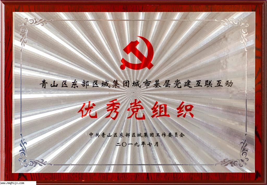 优秀党组织