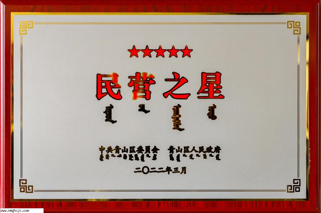民营之星2022