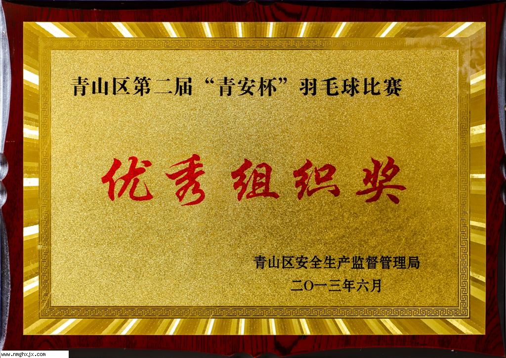 优秀组织奖