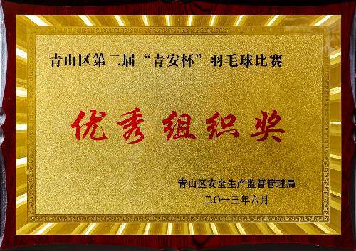 优秀组织奖